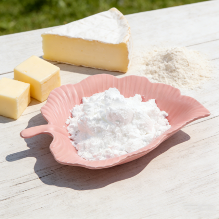 法国芝士 Food French Cheese Powder Flavour